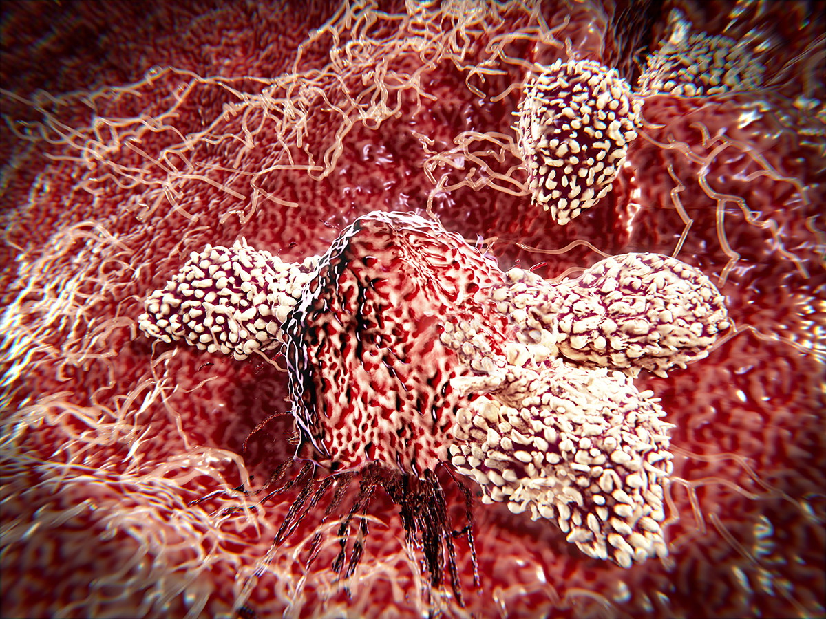 vista-checkpoint-implicated-in-pancreatic-cancer-immunotherapy